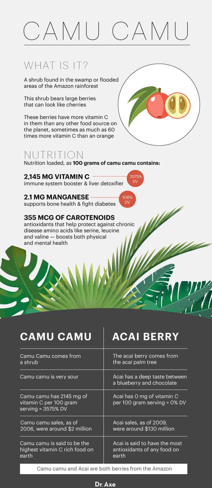 Camu Camu：维生素C含量最高的新型超级食品