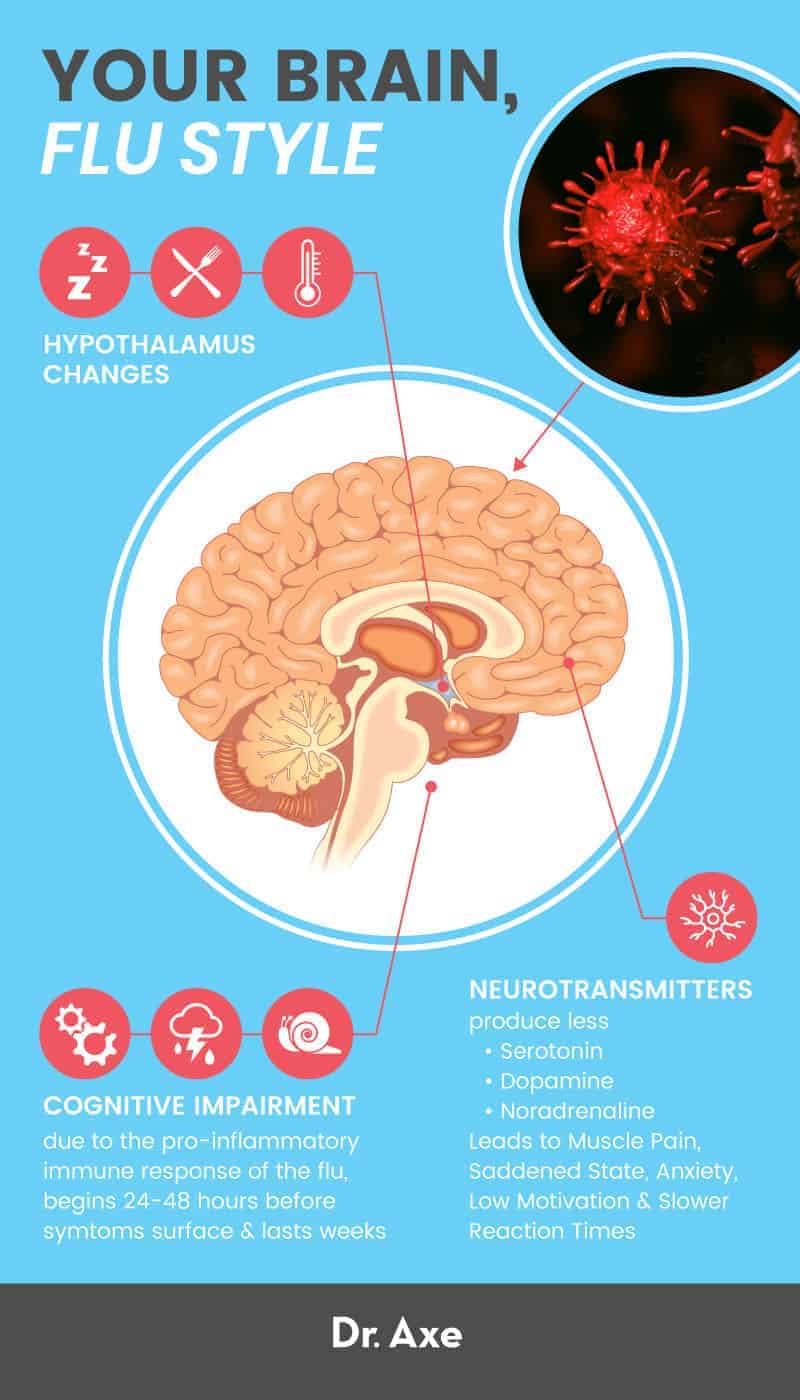 大脑流感：以下是病毒对中枢神经系统的影响