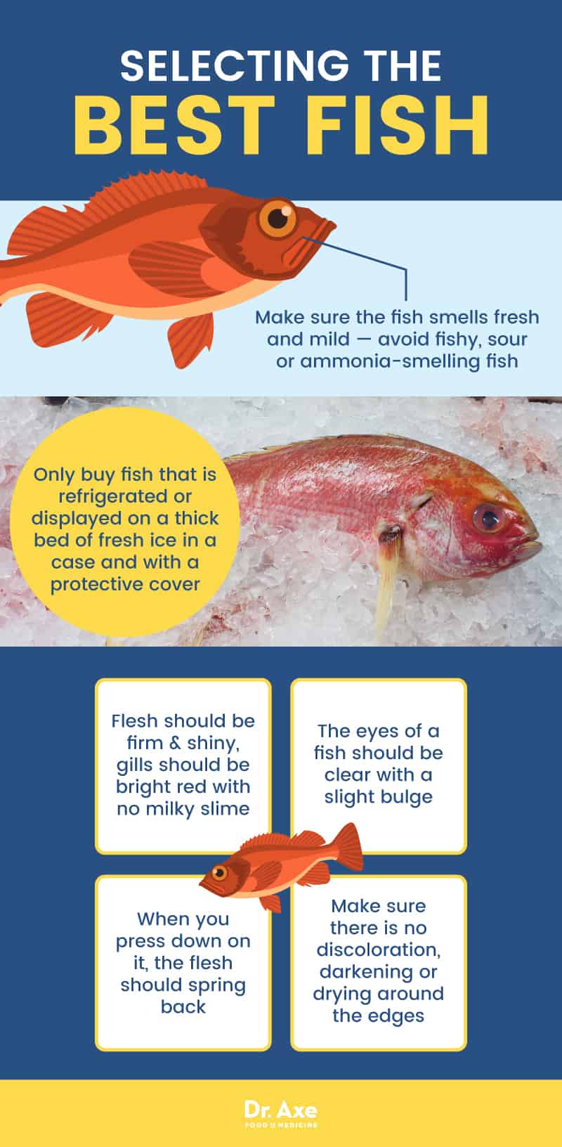 岩鱼对你的健康有益还是有害？